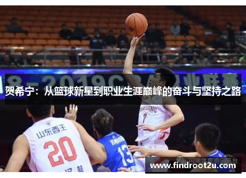 贺希宁：从篮球新星到职业生涯巅峰的奋斗与坚持之路
